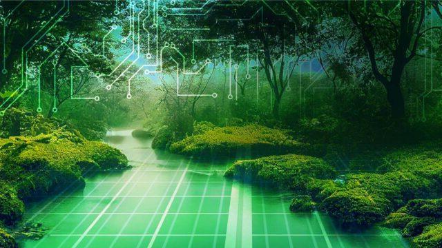 Green forest with bushes, groundcover, and trees with digital elements for the forest floor and overlayed on the image